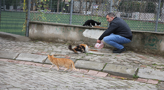 Efeler Belediyesi can dostlarını gıdasız da sevgisiz de bırakmadı