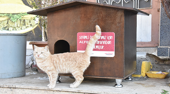 Belediye ve Alfemo’dan can dostlar için işbirliği