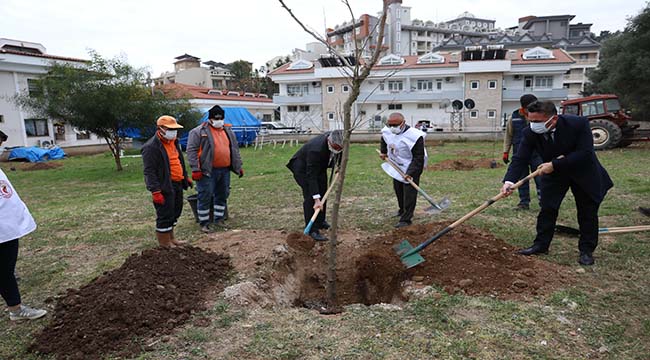 SAĞLIKÇILAR ANISINA FİDAN DİKİLDİ