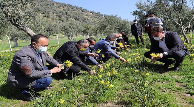 Bayındır'da üreticinin yüzü güldü