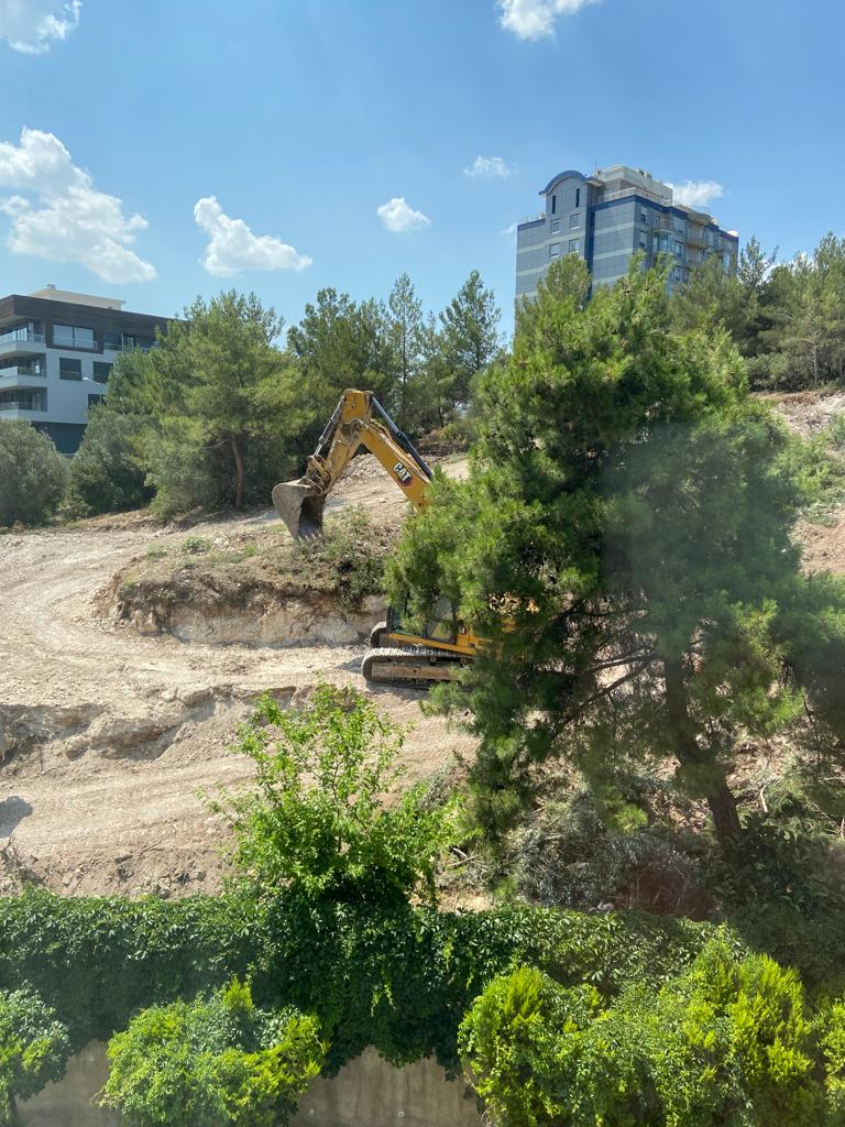 AK Partili Hızal, İzmir Büyükşehir Belediyesi'nin ağaçları kestiği görüntüleri paylaştı