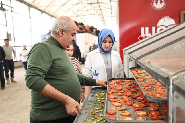 Aziziye'nin termal seralarında yeni dönem