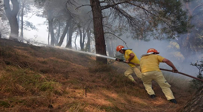 Bekir Karacabey; “Ormanda ateş yakmak yasaktır"