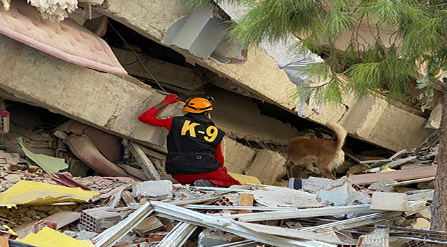 AKUT, 18 ekibi ve 268 gönüllüsüyle 13 can kurtardı