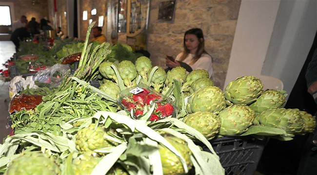 Urla'da Turizm Haftası Etkinlikleri