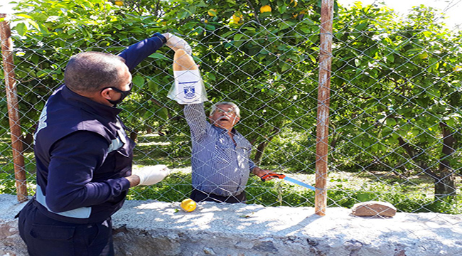 BELEDİYE EKİPLERİ BODRUM HALKI İÇİN SOKAKTA