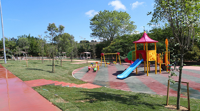 Düğünler Yeşillikler İçerisinde Yapılacak