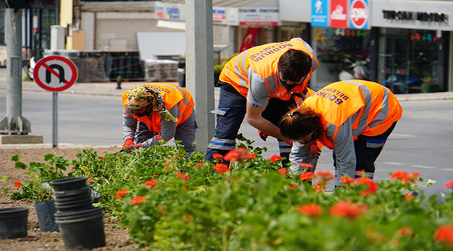 BODRUM MİSAFİRLERİNİ BEGONVİLLERLE KARŞILAYACAK