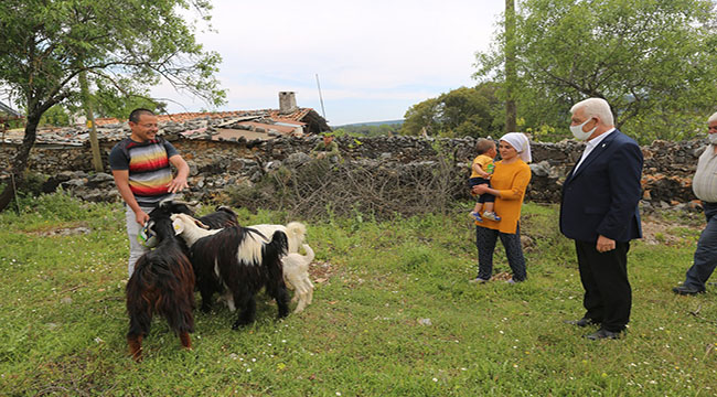 Fatmana Göksel; "Osman Gürün Sayesinde Hayvancılığa İlk Adımımı Attım"