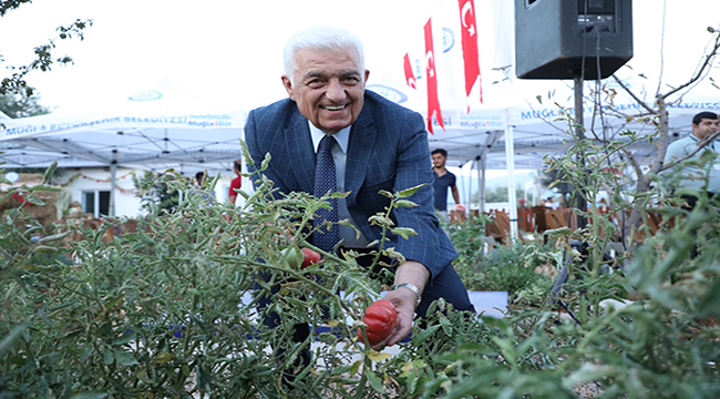 Muğla'da üretilen yerel tohumlar 42 ilde toprakla buluştu