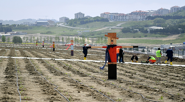 BEYLİKDÜZÜ’NDE DAYANIŞMA RUHU “YAŞAM BAHÇESİ” İLE PERÇİNLENECEK