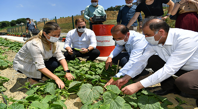 BAŞKAN ÇALIK YAŞAM BAHÇESİ’NİN MAHSULLERİNİ TOPLADI