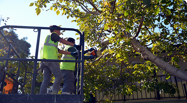 Samurlu'da Sorunlar Çözüme Kavuşuyor