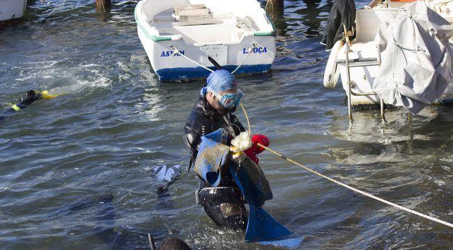 Temiz Deniz Temiz Foça
