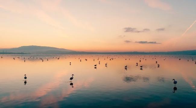 Tarkan’dan İzmir’in Gediz Deltası’nın UNESCO Dünya Doğa Mirası Olması İçin Destek