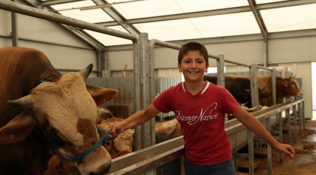 Arnavutköy’de Kurban Satışları Başladı