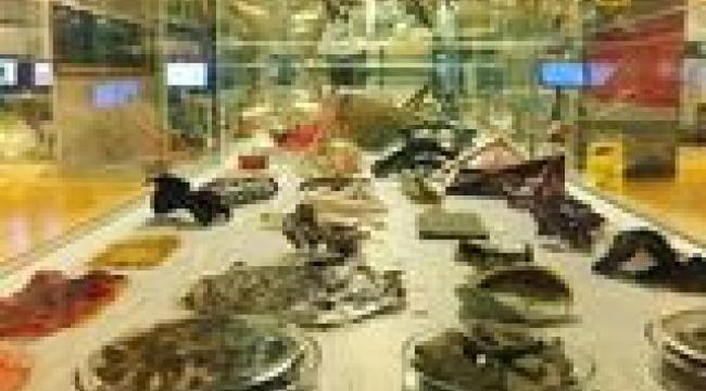 Bozcaada’nın röntgenini çektiler