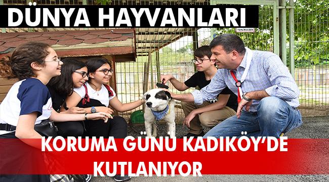 DÜNYA HAYVANLARI KORUMA GÜNÜ KADIKÖY’DE KUTLANIYOR