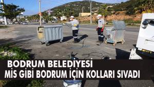 "MİS GİBİ BODRUM" SEFERBERLİĞİ BAŞLADI