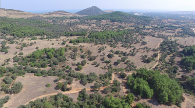 oliVelo için başvurular başladı