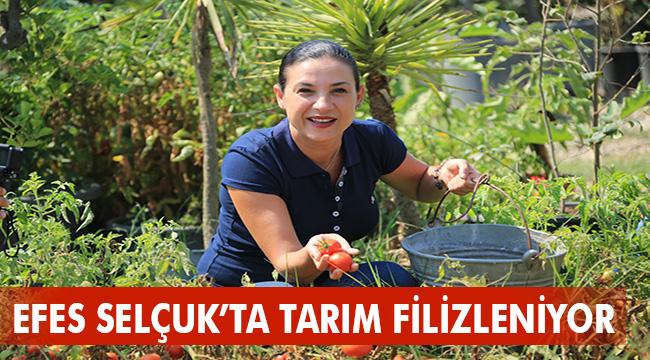 "EFES SELÇUK'TA TARIM FİLİZLENİYOR"