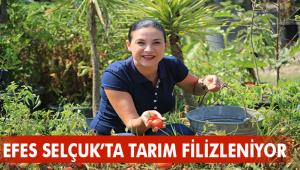 "EFES SELÇUK'TA TARIM FİLİZLENİYOR"