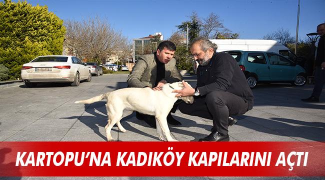 KADIKÖY BELEDİYESİ DEPREMZEDE KÖPEK KARTOPU’NA KAPILARINI AÇTI