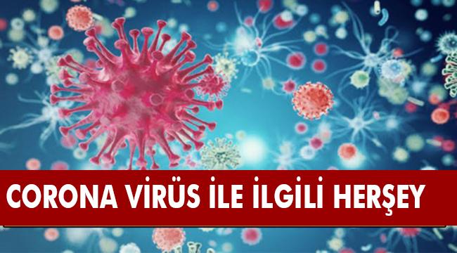 Yeni Coronavirüs ile ilgili merak edilen 9 soru 9 cevap