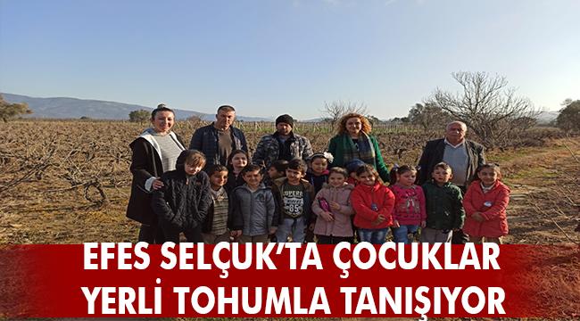 Efes Selçuk Belediyesi öğrencileri sağlıklı tarımla yerli tohumla tanıştırıyor