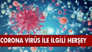 Yeni Coronavirüs ile ilgili merak edilen 9 soru 9 cevap