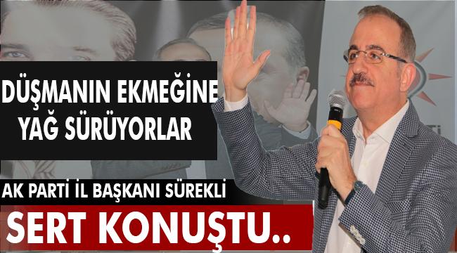 AK Parti İzmir İl Başkanı Kerem Ali Sürekli; "Düşmanın ekmeğine yağ sürüyorlar!"