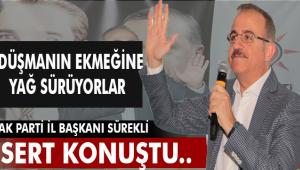 AK Parti İzmir İl Başkanı Kerem Ali Sürekli; "Düşmanın ekmeğine yağ sürüyorlar!"