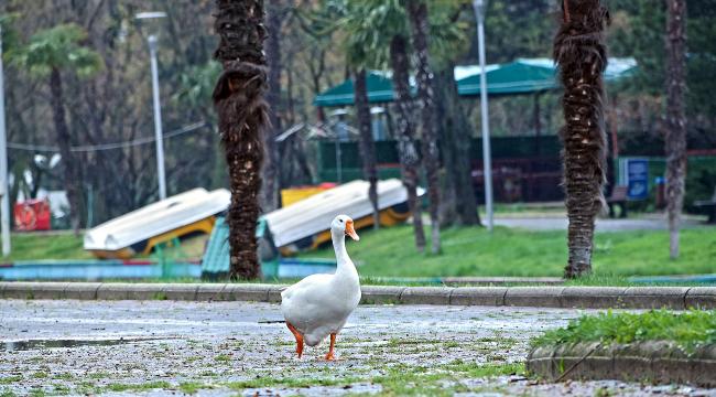 Bursa’da parklar sağlık için kapatıldı