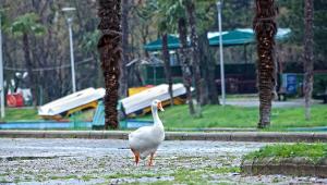 Bursa'da parklar sağlık için kapatıldı