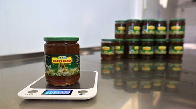 Türkiye Çam Balının yüzde 90’nı Muğla’dan Arıcıya Destek Büyükşehir’den