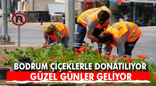 BODRUM MİSAFİRLERİNİ BEGONVİLLERLE KARŞILAYACAK