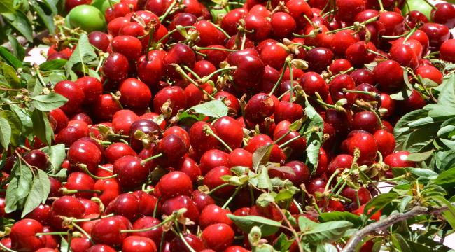 “El verin hem üreticiyi hem tüketiciyi doyuralım”