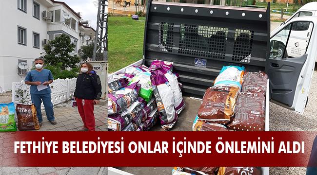 FETHİYE BELEDİYESİ SOKAK HAYVANLARI İÇİN PARK VE BAHÇELERE MAMA BIRAKIYOR