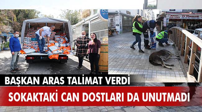 YARIMADA GENELİNDE YAKLAŞIK 11 BİN KG MAMA DAĞITILDI