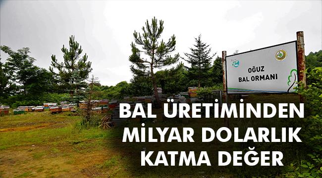 150 bin hane arıcılık ile geçiniyor