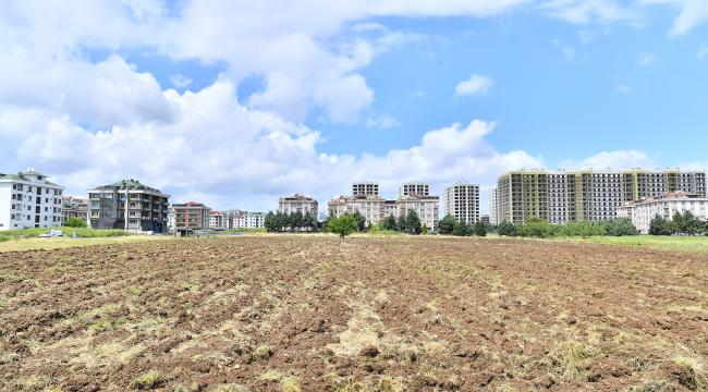 BEYLİKDÜZÜ BELEDİYESİ’NDEN KENT TARIMINA BÜYÜK DESTEK