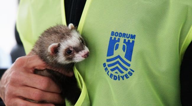 FERET İLGİ ODAĞI OLDU