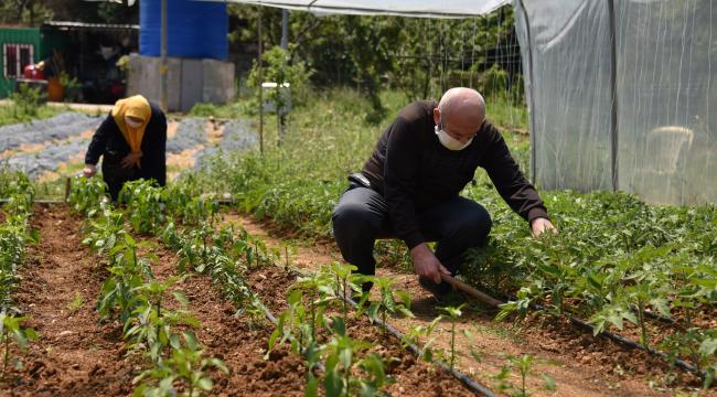 65 yaş üstü Tuzlalılardan, ihtiyaç sahiplerine organik sebze meyve şöleni