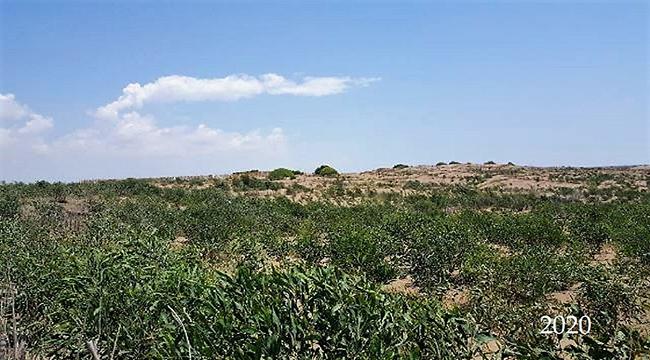 Ağyatan Lagünü Çöl Olmayacak