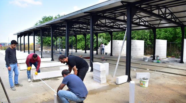 Can dostlara modern yuva