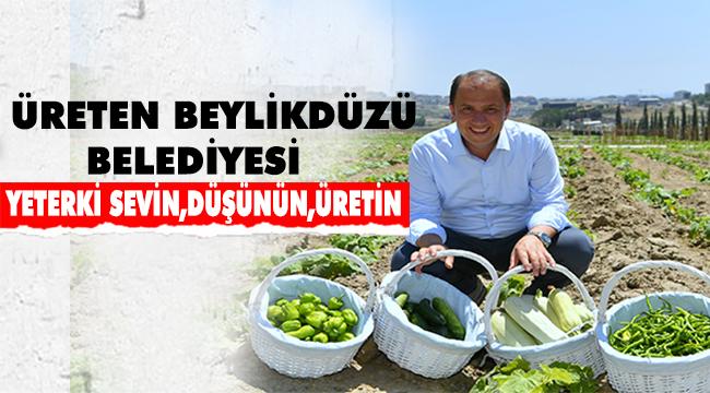 BAŞKAN ÇALIK YAŞAM BAHÇESİ’NİN MAHSULLERİNİ TOPLADI