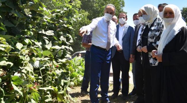 Büyükşehir destekliyor, çiftçi kazanıyor