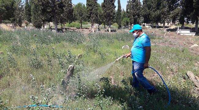 İl Genelinde Mezarlıklarda Çalışmalar Sürüyor