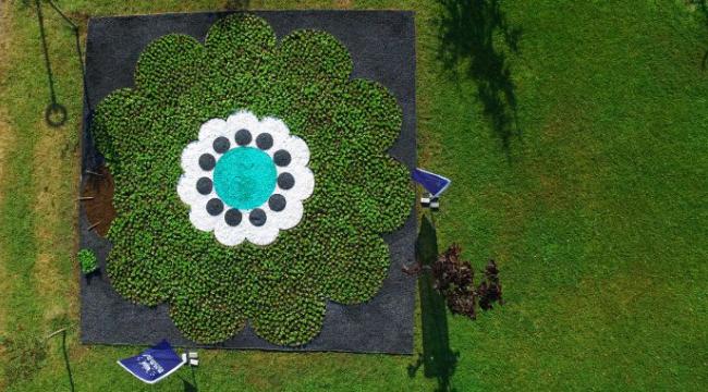 Srebrenica Çiçeği’ yeniden hayat buluyor