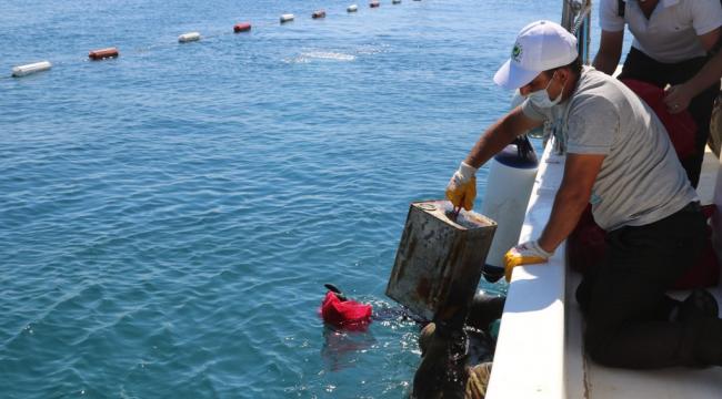 TÜRKBÜKÜ SAHİLİNDE DENİZ DİBİ TEMİZLİĞİ